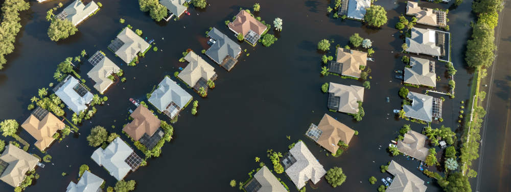 flood insurance in Tampa Bay